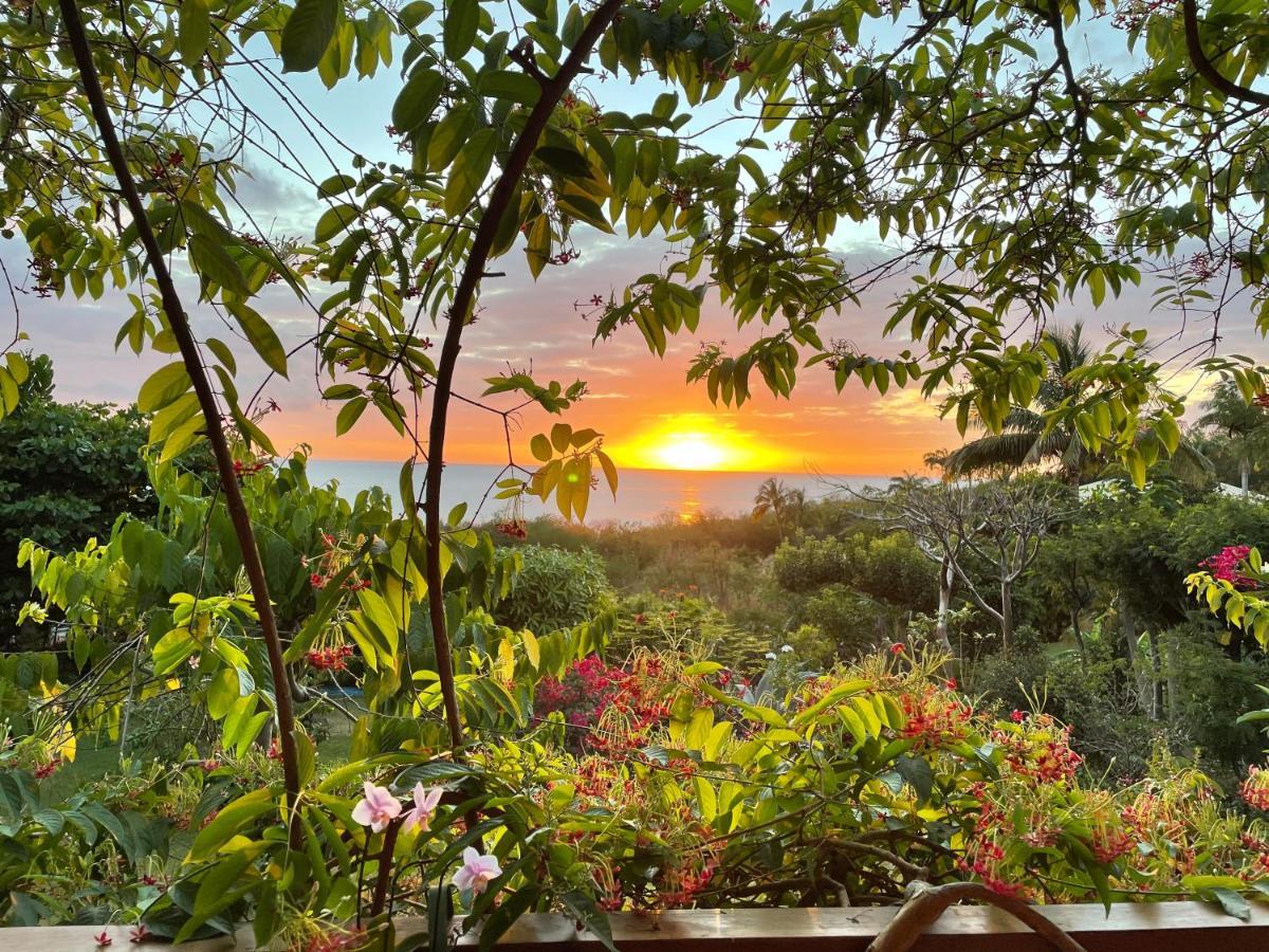 Villa Nature Caraibe Lodge, Vue Mer, Piscine Privee Deshaies Exterior foto