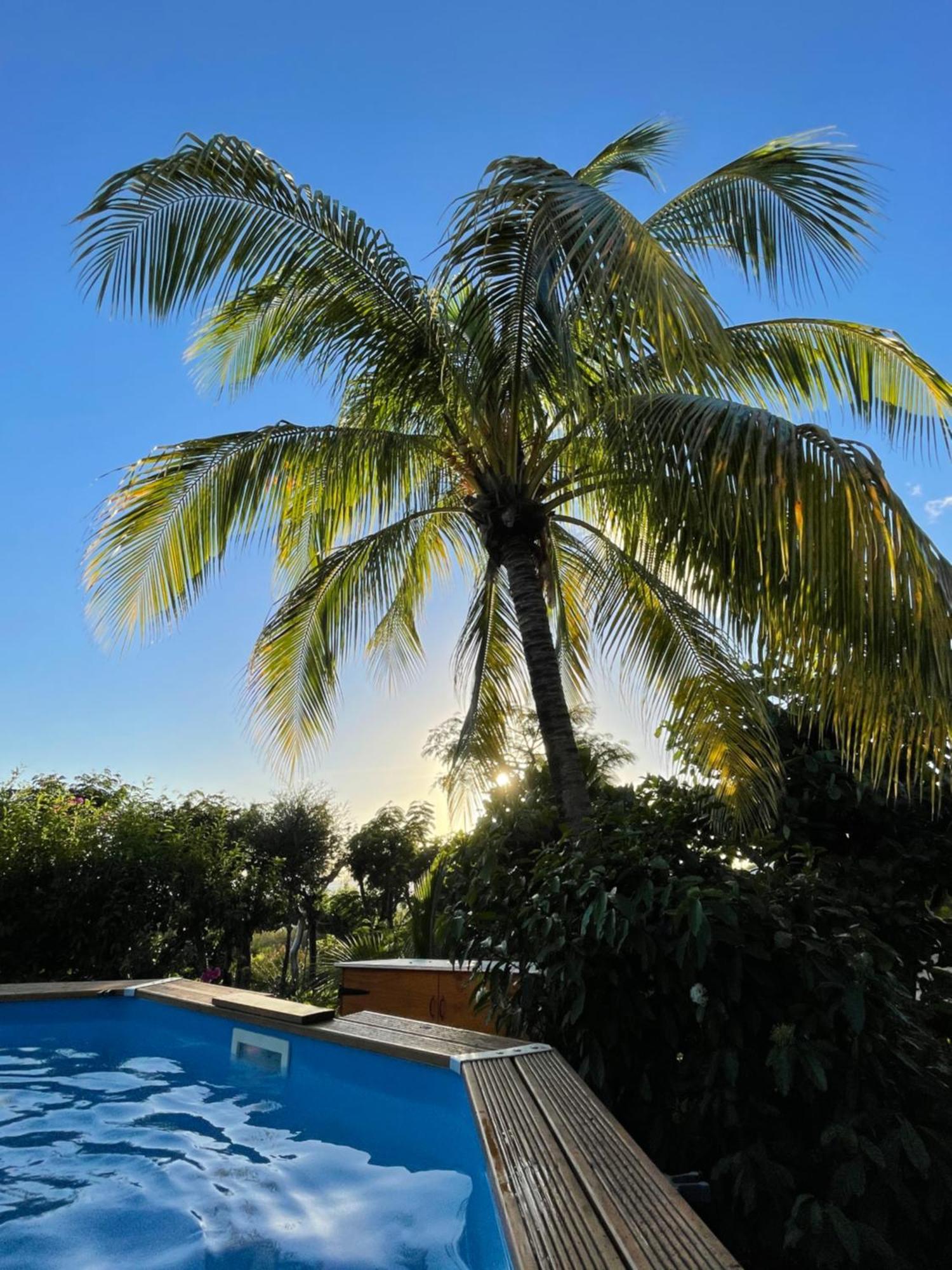 Villa Nature Caraibe Lodge, Vue Mer, Piscine Privee Deshaies Exterior foto